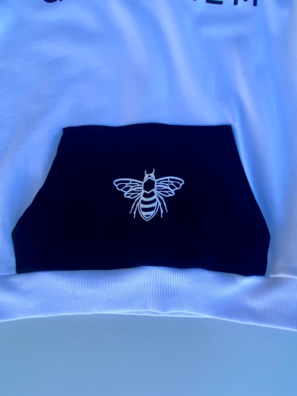 Men's Chest Logo Raglan Hooded Sweatshirt