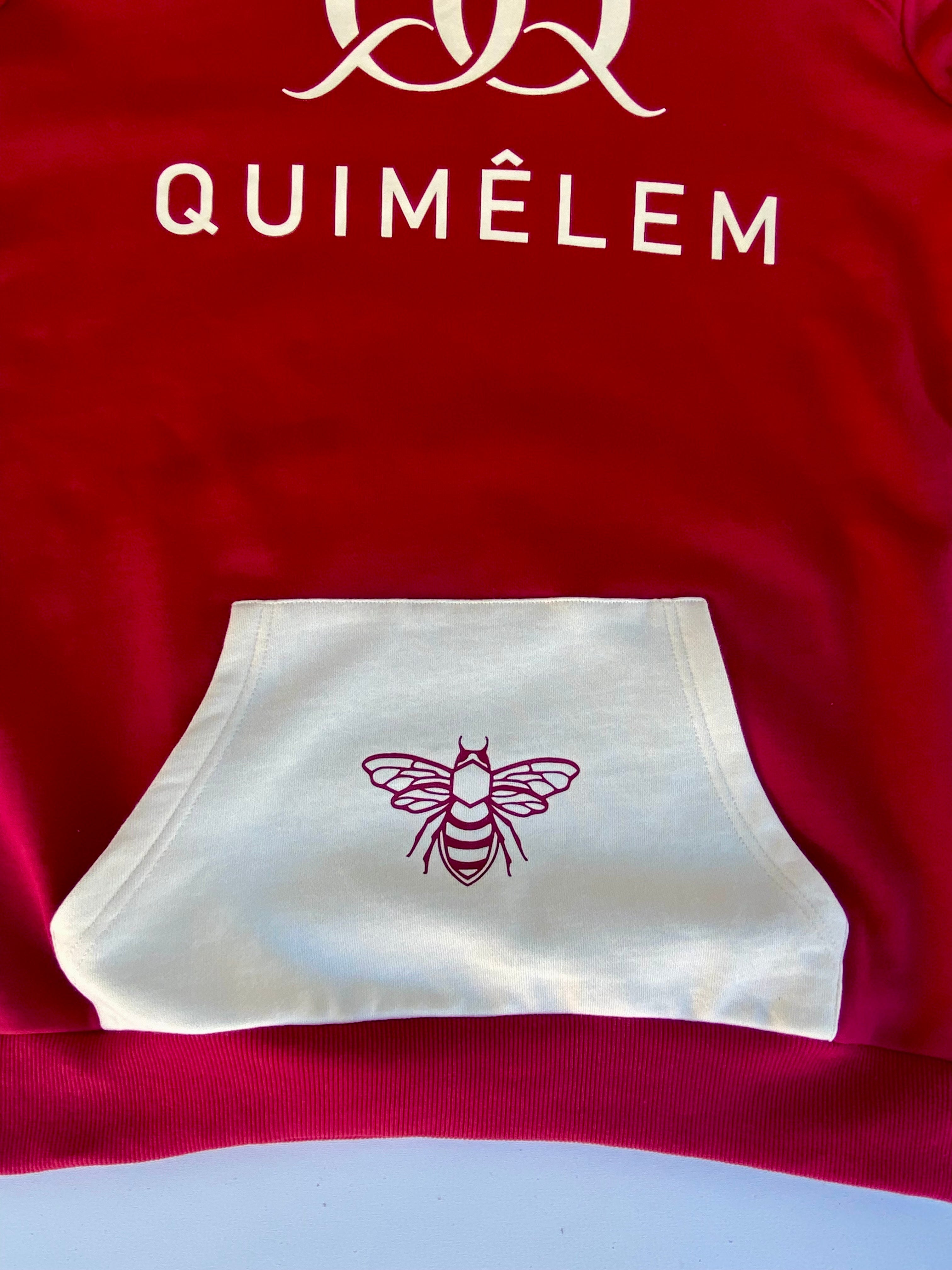 Men's Chest Logo Raglan Hooded Sweatshirt